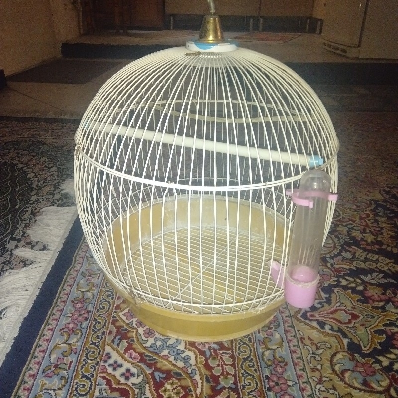 قفس پرنده