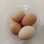 تخم مرغ لاری