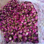 فروش گل محمدی