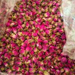 فروش گل محمدی