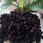برگ زردالو شکر پاره