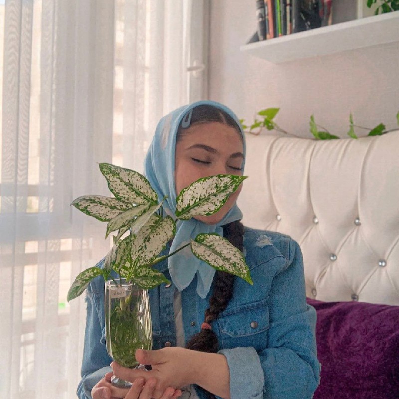 کار آنلاین / دورکاری