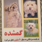 گ.م شده