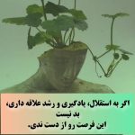 کاردرمنزل