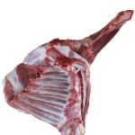 بهترین مواد پروتعینی منزل خودرا،ازما بخواهید