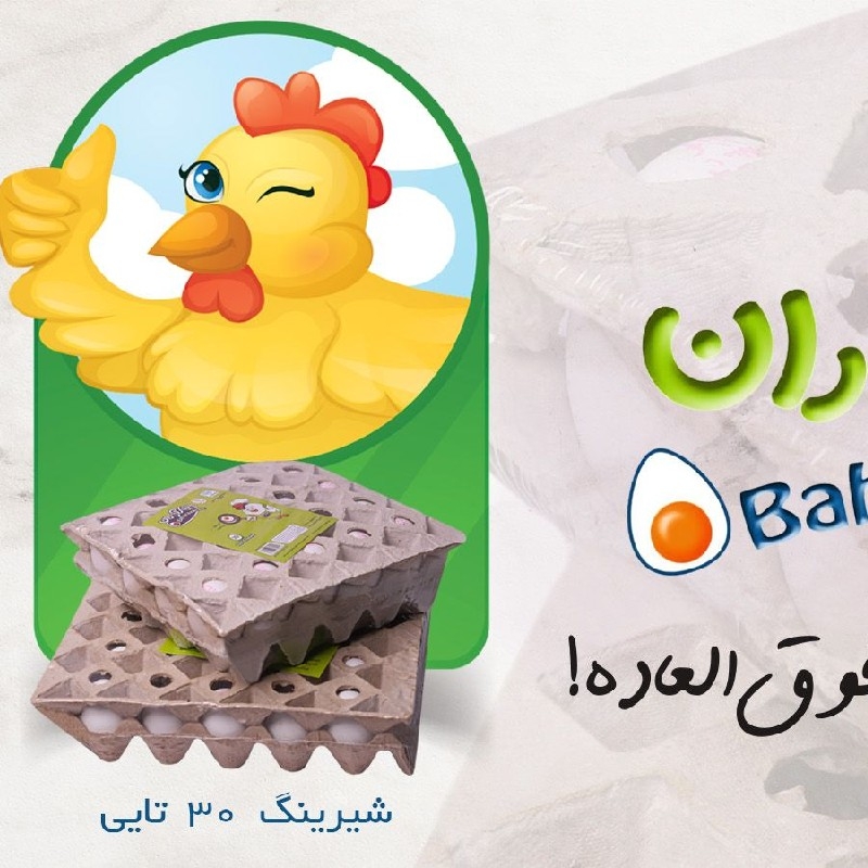 پخش تخم مرغ