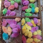 جوجه رنگی و جوجه گلپایگان اصیل 5 روزه