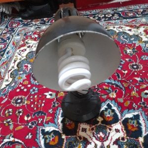 چراغ مطالعه آباژور