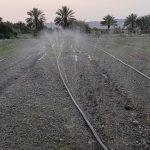 لوله مه پاش