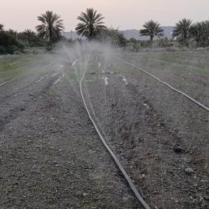 لوله مه پاش