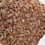 خرید و فروش پوست پسته و انواع ضایعات کشاورزی