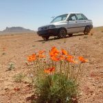 ماشین پراید مدل ۸۲فابریک