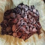 خرید و فروش پوست پسته و انواع ضایعات کشاورزی