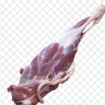 بهترین مواد پروتعینی منزل خودرا،ازما بخواهید