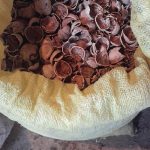 خرید و فروش پوست پسته و انواع ضایعات کشاورزی