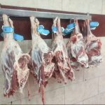 بهترین مواد پروتعینی منزل خودرا،ازما بخواهید