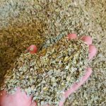 🌿 فروش ویژه آویشن درجه یک – عمده و خرده 🌿
‌