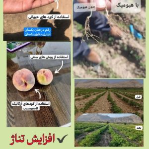کودهای آلی گیاهی و مرغی ارگانیک