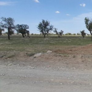 زمین صوفیان روستای توریستی سرکندیزج