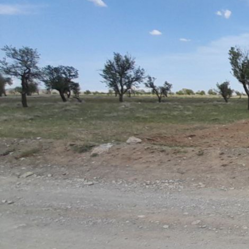 زمین صوفیان روستای توریستی سرکندیزج