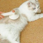 برس برای موهای پرزه شدهحیوانات خانگی