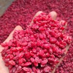 زرشک پفکی صادراتی