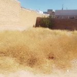 زمین مجوزدار 120دستخضر