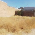 زمین مجوزدار 120دستخضر