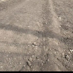 یک قطعه زمین به مساحت ۲۴۲متر دارای سند در بافق..