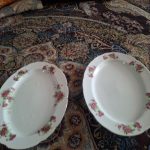 دیس گل سرخی ژاپنی