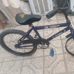 دوچرخه ۲۰ بچگانه