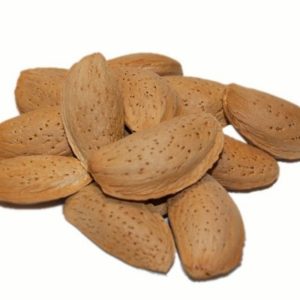 بادام سنگی،پوست کاغذی و... خوش‌طعم به قیمت عمده