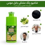 شامپو رنگ مو مشکی