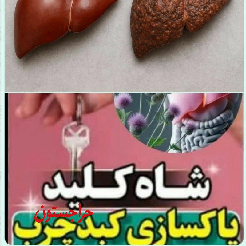 ۱۰ نفر اول مشاور رایگان
