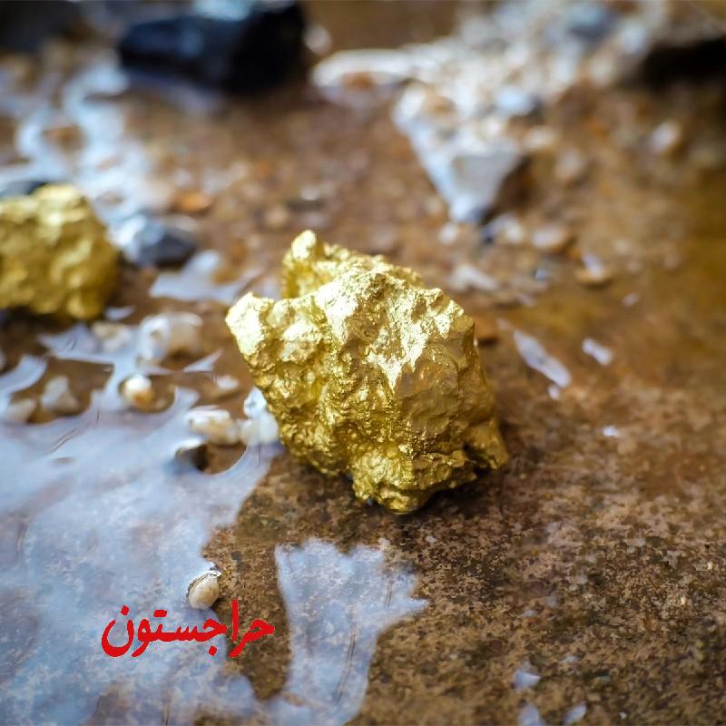 راهنمایی جزب سرمایه