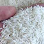 برنج هاشمی گیلان درجه یک