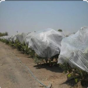 نوار تیپ