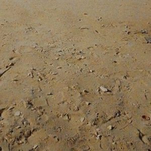 فروش و معاوضه زمین در تیس