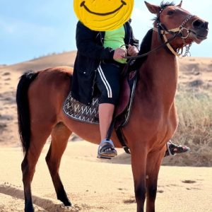 اسب ناز