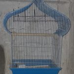 قفس پرنده