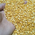 حبوبات بذر کاشت کشاورز