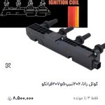 کوئل رانا