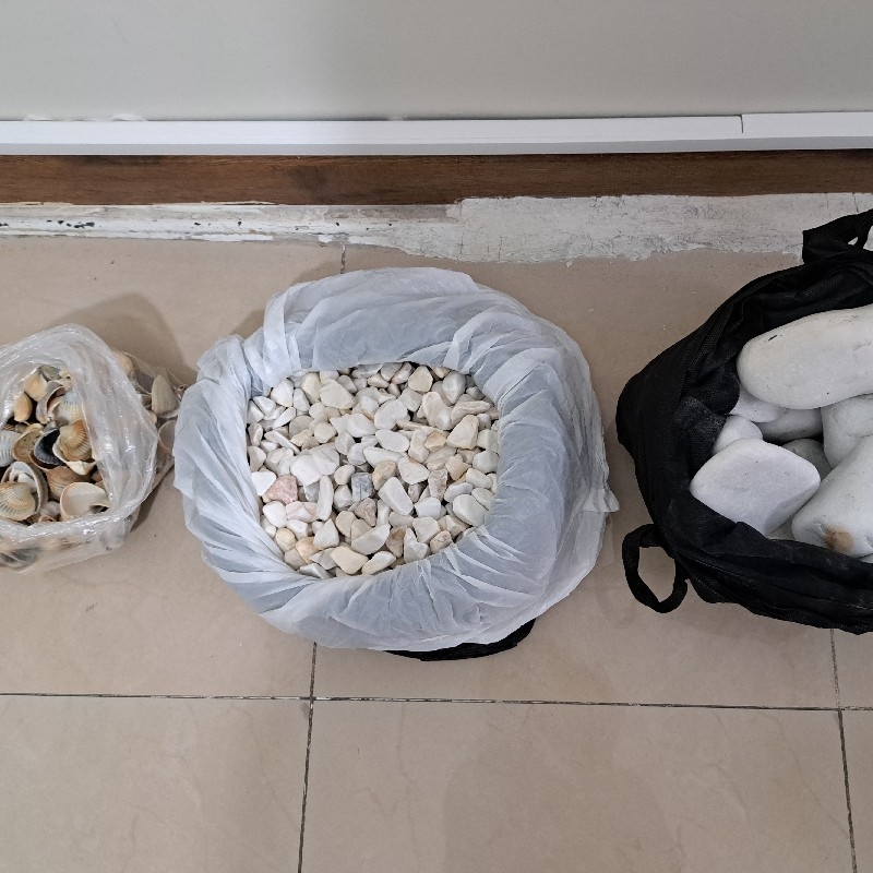 سنگ و صدف برای گلدون