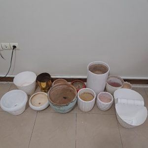 تعدادی گلدون