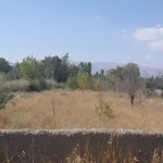 باغ ۹۰۰متری